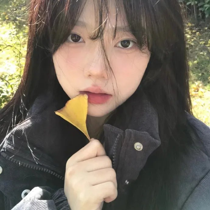 婉君表妹